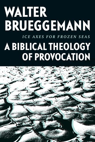 Ice Axes For Frozen Seas: A Biblical Theology Of Provocation [Hardcover]