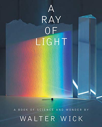 A Ray of Light [Hardcover]