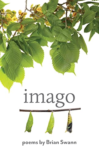 Imago                                    [TRADE PAPER         ]