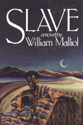 Slave [Paperback]