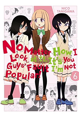 No Matter How I Look at It, It's You Guys' Fault I'm Not Popular!, Vol. 6 [Paperback]