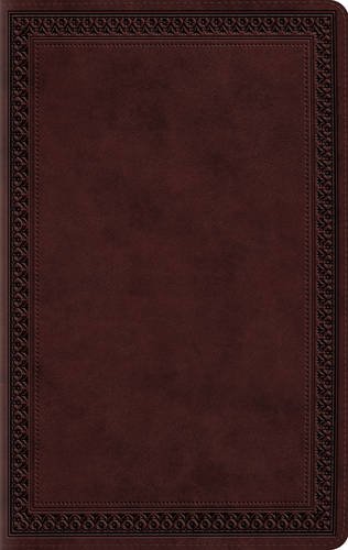 Esv Large Print Value Thinline Bible (trutone