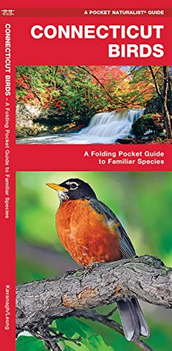 Connecticut Birds: A Folding Pocket Guide to Familiar Species [Pamphlet]