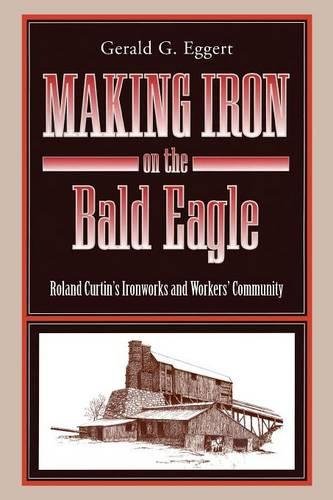 Making Iron on the Bald Eagle Roland Curtin's Ironorks and Workers' Community [Paperback]