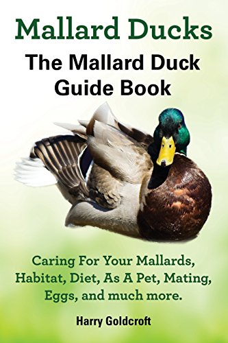 Mallard Ducks [Paperback]