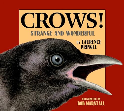 Crows!: Strange and Wonderful [Paperback]