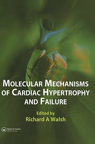 Molecular Mechanisms of Cardiac Hypertrophy and Failure [Hardcover]