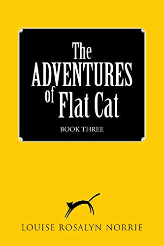 The Adventures Of Flat Cat [Paperback]