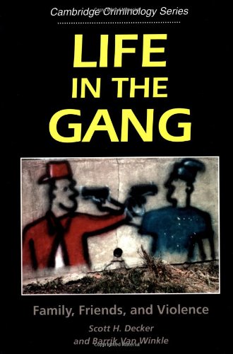 Life in the Gang Family, Friends, and Violence [Paperback]