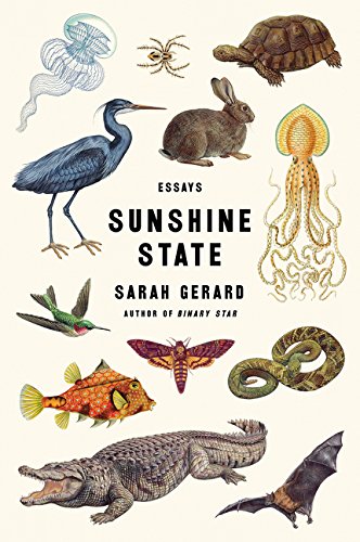 Sunshine State: Essays [Paperback]