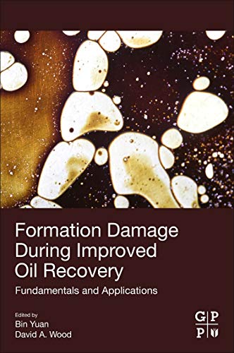 Formation Damage during Improved Oil Recovery Fundamentals and Applications [Paperback]