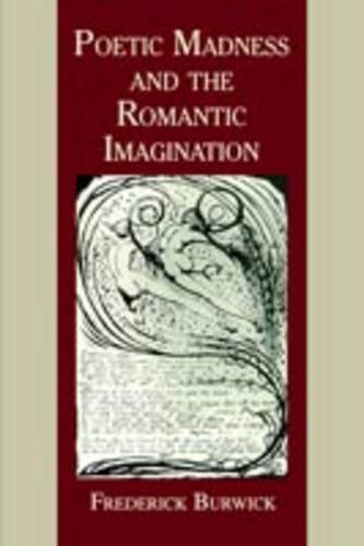 Poetic Madness and the Romantic Imagination [Paperback]