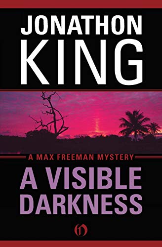 A Visible Darkness [Paperback]