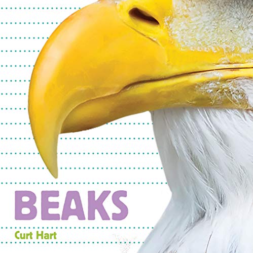 Whose Is It  Beaks                       [CLOTH               ]