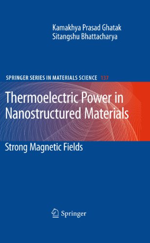 Thermoelectric Power in Nanostructured Materials: Strong Magnetic Fields [Paperback]