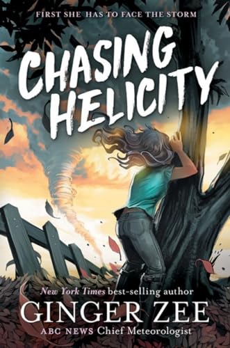 Chasing Helicity: Chasing Helicity-Chasing Helicity, Book 1 [Hardcover]