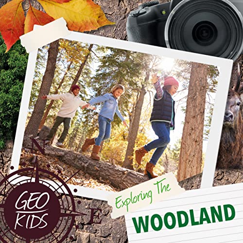 Exploring the Woodland [Hardcover]