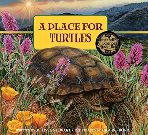 A Place for Turtles [Paperback]