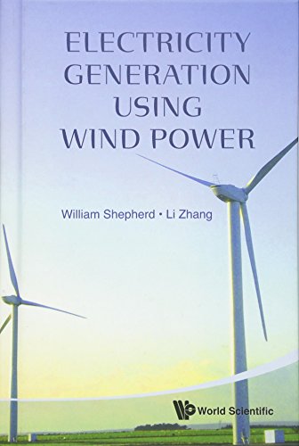 Electricity Generation Using Wind Poer [Hardcover]