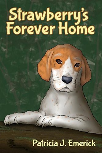 Straberry's Forever Home [Paperback]