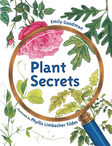 Plant Secrets [Paperback]