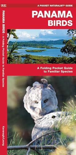 Panama Birds: A Folding Pocket Guide to Familiar Species [Pamphlet]