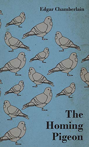 Homing Pigeon [Hardcover]