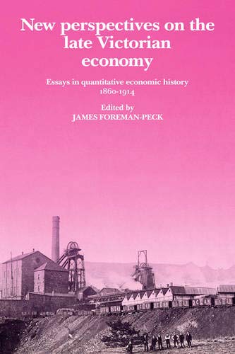 Ne Perspectives on the Late Victorian Economy Essays in Quantitative Economic  [Hardcover]