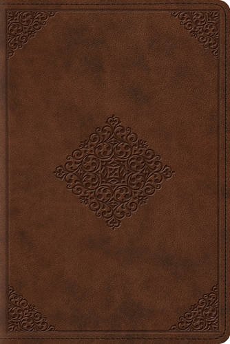 Esv Study Bible, Personal Size (trutone, Saddle, Ornament Design) [Imitation Leather]