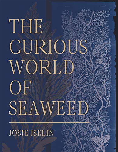 The Curious World of Seaweed [Hardcover]