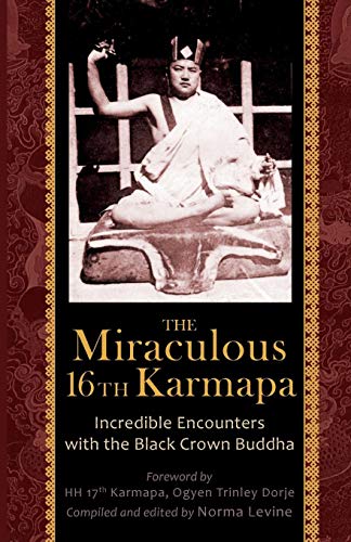 The Miraculous 16th Karmapa [Paperback]