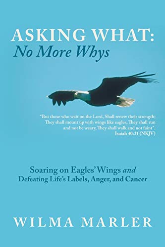 Asking What No More Whys  Soaring on Eagles' Wings Defeating Life's Labels, An [Paperback]