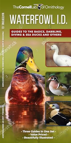 Waterfowl ID Set: A Complete Supplement to Indentify Waterfowl Based on  Where's [Mixed media product]