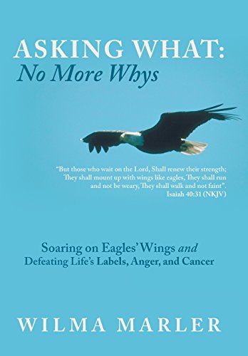 Asking What No More Whys  Soaring on Eagles' Wings Defeating Life's Labels, An [Hardcover]