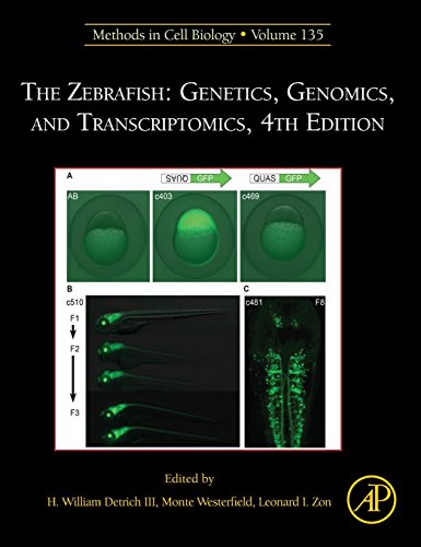 The Zebrafish Genetics, Genomics, and Transcriptomics [Hardcover]