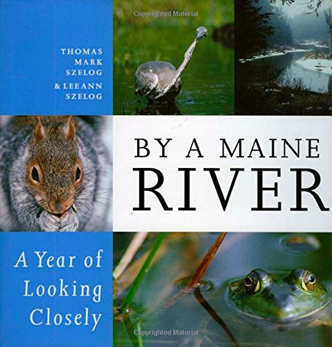 By a Maine River: A Year of Looking Closely [Hardcover]