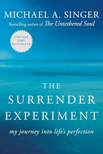 The Surrender Experiment: My Journey into Life's Perfection [Paperback]