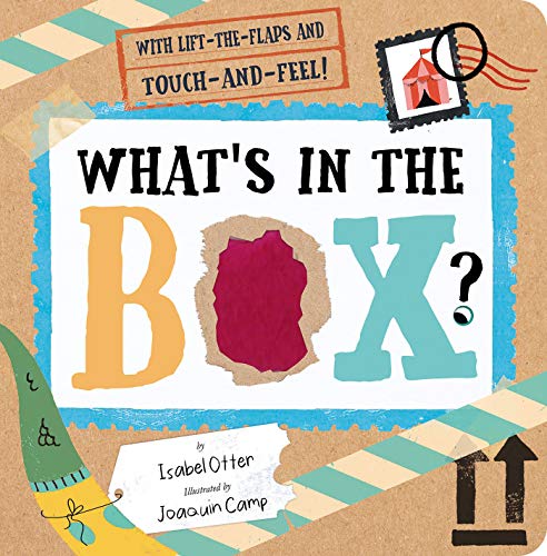 What's in the Box? [Board book]