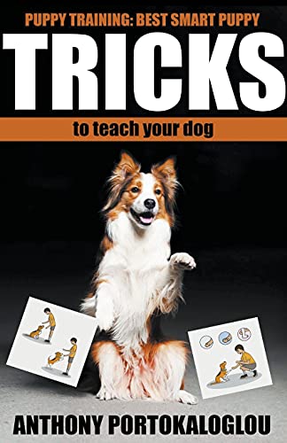 Dog Tricks  Best Smart Dog Tricks to Teach Your Dog in Record Time [Paperback]