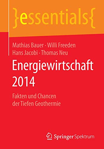 Energieirtschaft 2014 Fakten und Chancen der Tiefen Geothermie [Paperback]