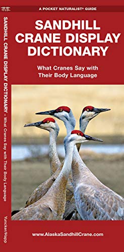 Sandhill Crane Display Dictionary: What Cranes Say With Their Body Language [Pamphlet]