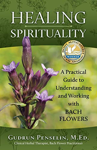 Healing Spirituality A Practical Guide To Understanding And Working With Bach F [Paperback]