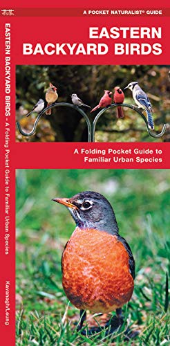 Eastern Backyard Birds: A Folding Pocket Guide to Familiar Urban Species [Pamphlet]