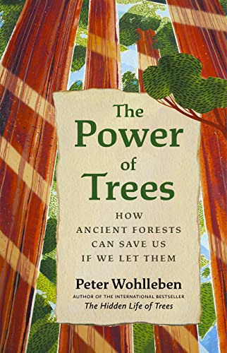 The Power of Trees: How Ancient Forests Can S