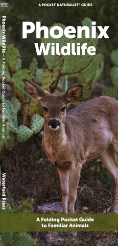 Phoenix Wildlife: A Folding Pocket Guide to Familiar Animals [Pamphlet]