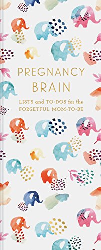 Pregnancy Brain: Lists and To-Dos for the Forgetful Mom-to-Be [Novelty book]