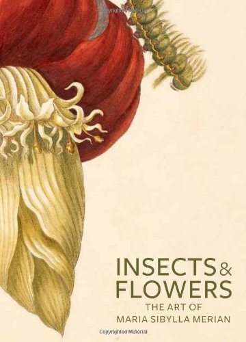 Insects and Flowers: The Art of Maria Sibylla