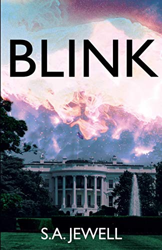 Blink [Paperback]