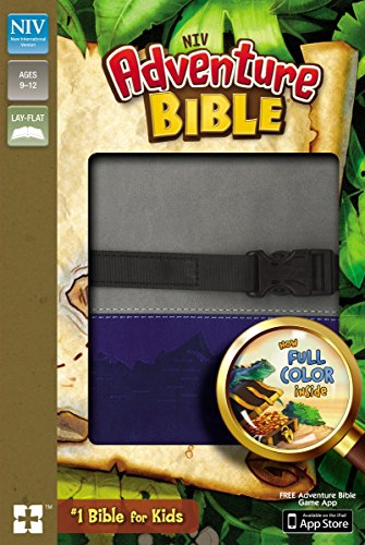 NIV, Adventure Bible, Imitation Leather, Gray/Blue, Full Color [Leather / fine bindi]