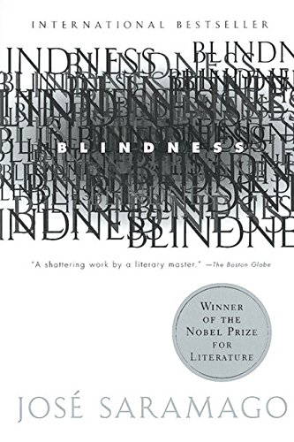 Blindness [Paperback]